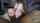amateur bbc interracial