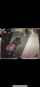 cam girl amateur pov