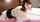 japanese teen beauty