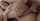 cum asshole cumshot