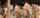 amateur bbc interracial