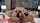 brunette amateur blacked