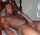 bbc black huge