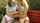 teen blonde girls