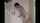 teen shower dildo