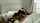 ffm threesome kissing