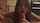 amateur blowjob brunette