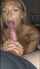 amateur blonde blowjob