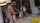 camgirl pussy ass