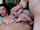 camgirl anal beauty