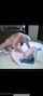 glasses oldman blowjob