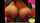 camgirl latina brunette