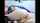 dildo camgirl white