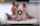 teen threesome lesbian