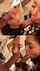 japanese bbc blowjob