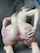 camgirl nude shower