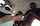 bbc forced bi femdom