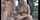 bisexual cuckold cumshot