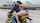bangbros big ass anal