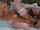 solo masturbates lesbians