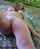 big tits teen shaved pussy