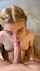 blonde blowjob deepthroat