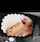 cock sucking porn ad tiktok ad