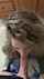 amateur blowjob curly
