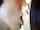 kissing xxx asian
