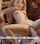 rapunzel porn ad blonde