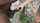 glasses asian interracial