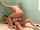 brunette threesome double penetration
