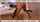 doggy cuckold hotel