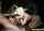 party blond threesome
