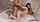 jav japanese asian