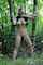 bondage outdoors pussy
