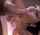 blowjob handjob dark hair
