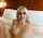 blond petite pornstar