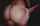 ass shaking nude