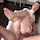 anal brunette riding