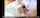 cunnilingus lesbians threesome