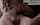 facefuck deepthroat mom