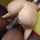 big ass cowgirl fuck