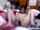 camgirl amateur brunette