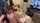 handjob blowjob masturbation