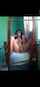 dark hair squirting hot