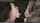 camgirl brunette big dick