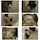 jav amateur big tits