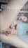 camgirl hot shorthair