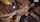 jav asian hard